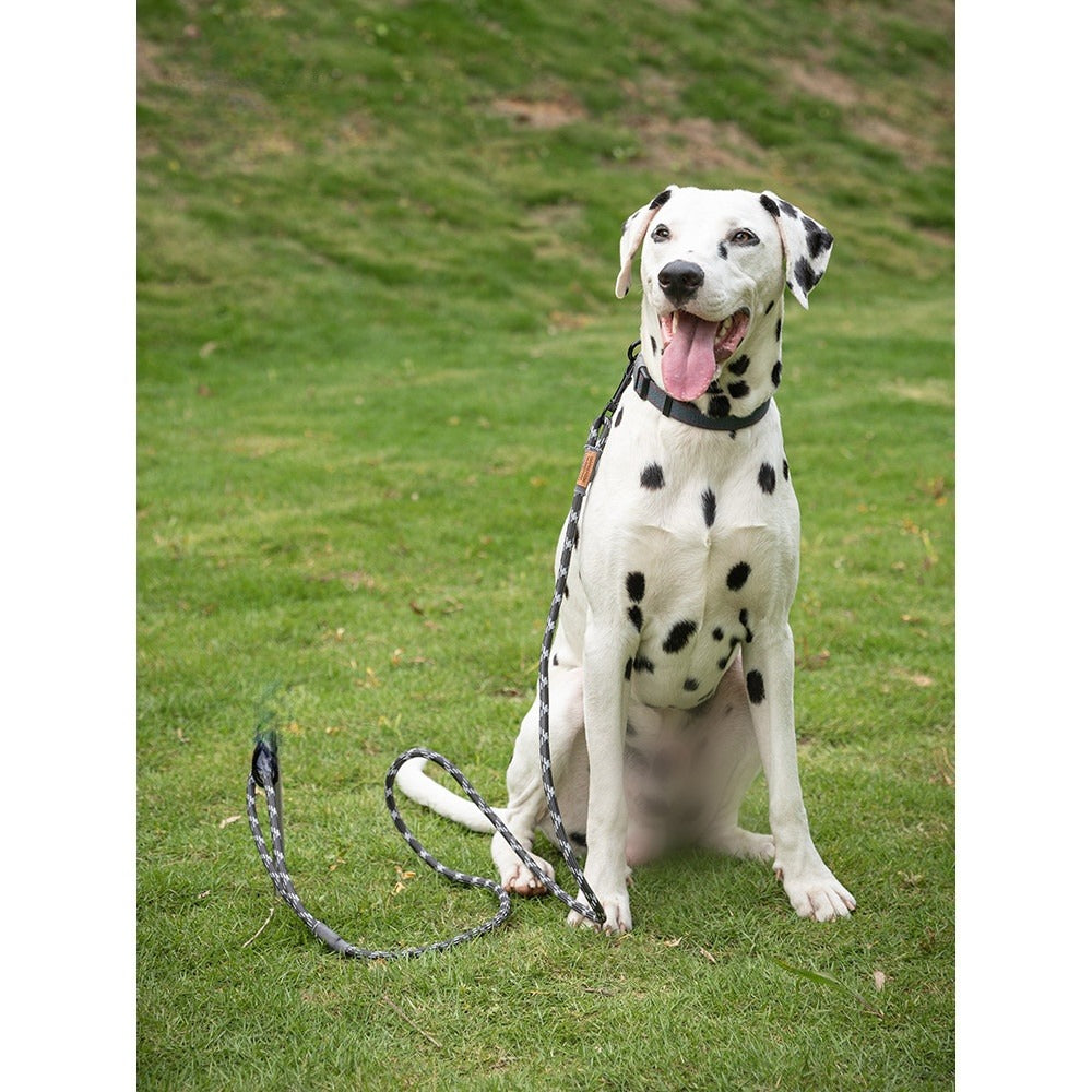 Campingmoon Reflective Dog Pet Collar & Leash Comfortable Durable Adjustable Traction Rope 360° Free Rotation Knot Pet Supplies PT-160 PT-S
