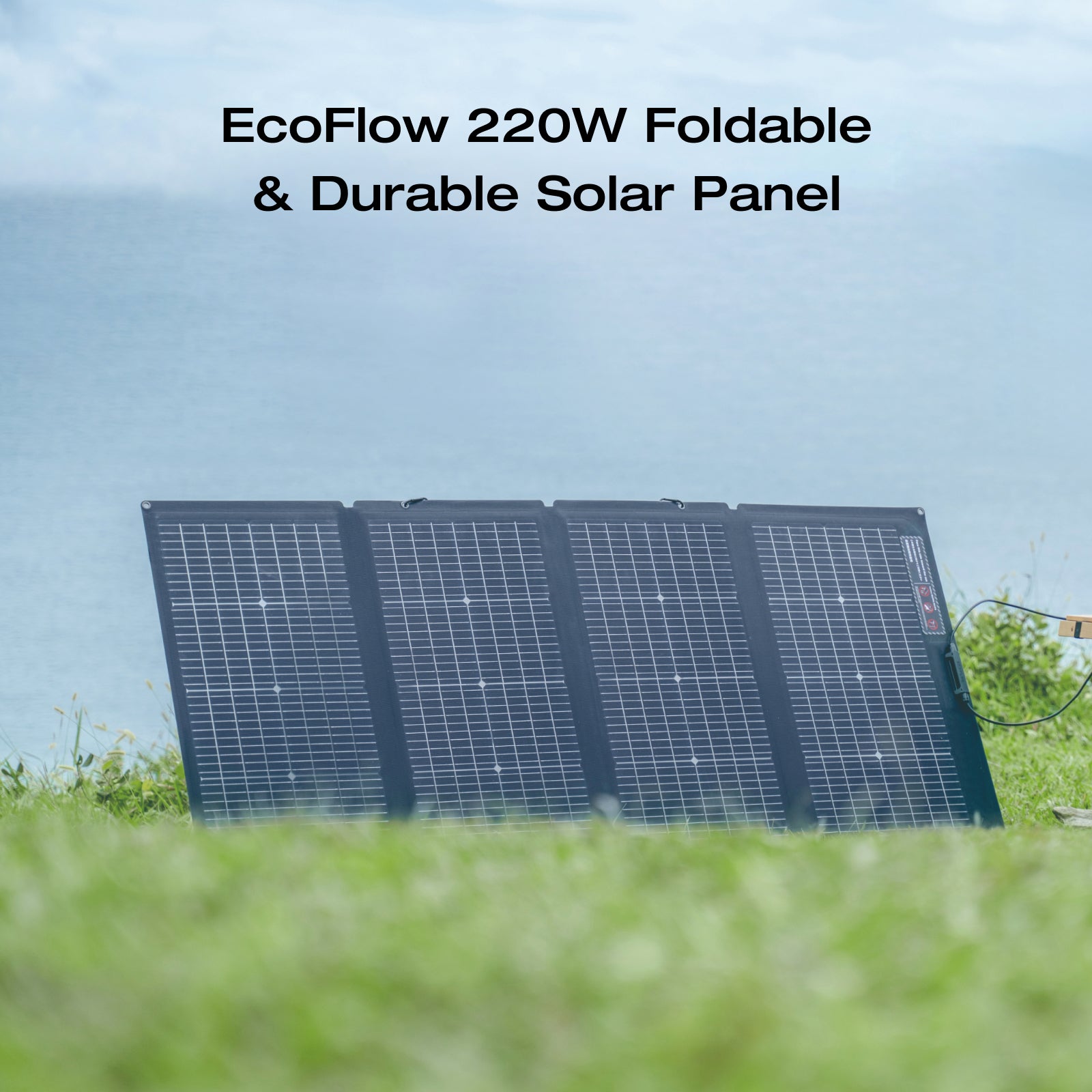 ECOFLOW 220W Single Face and Bi-facial Solar Panel Portable