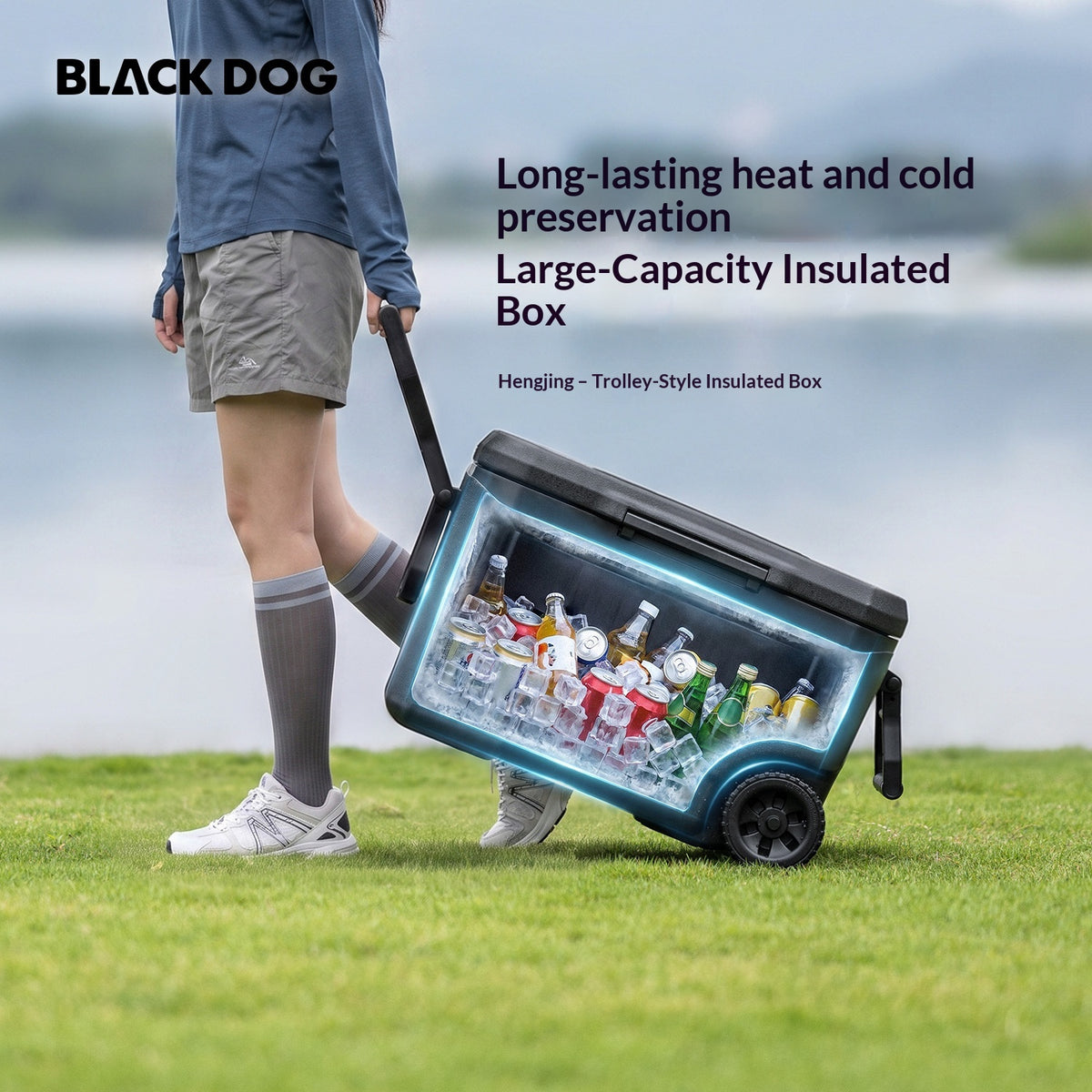 Blackdog 47L Wheeled Cooler Box with Pull Handle Large Capacity Ice Chest for Camping Outdoor Picnic