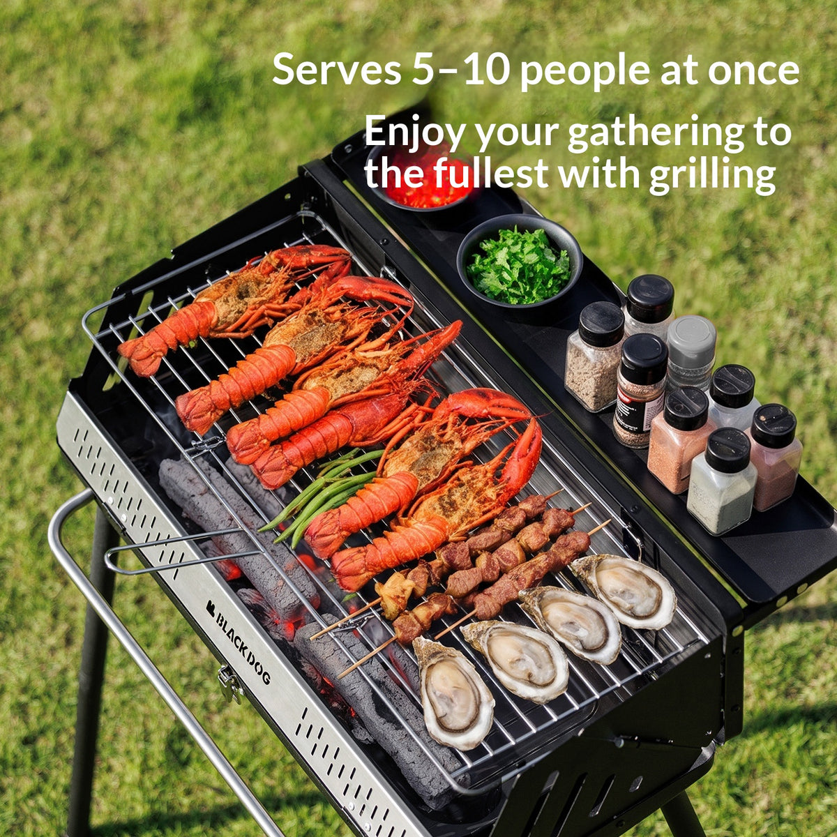 Blackdog FIRE HAVEN Self Standing BBQ Grill Portable Outdoor Charcoal Barbecue Camping Cooking Stove