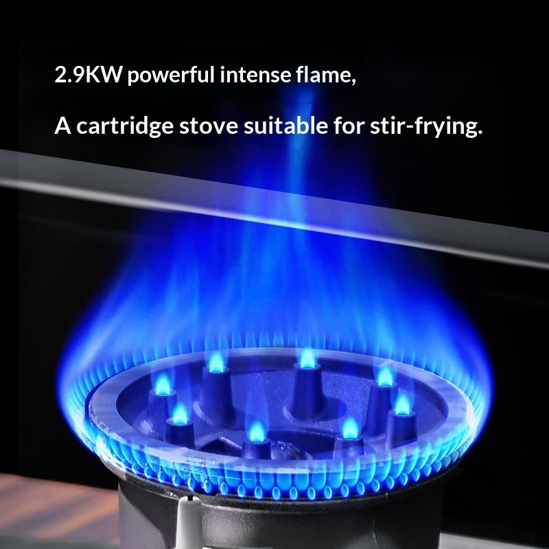 Naturehike DARK STAR Cassette Stove 2.9kw Firepower Basic Burner With Storage Case Windproof Stove Rack Stepless Rotating Knob Butane Canister Outdoor